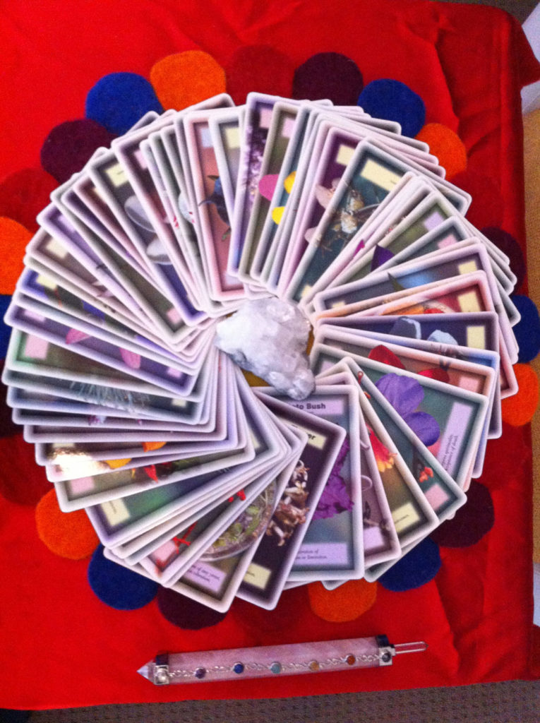 Flower-&-Spirit-Readings-image